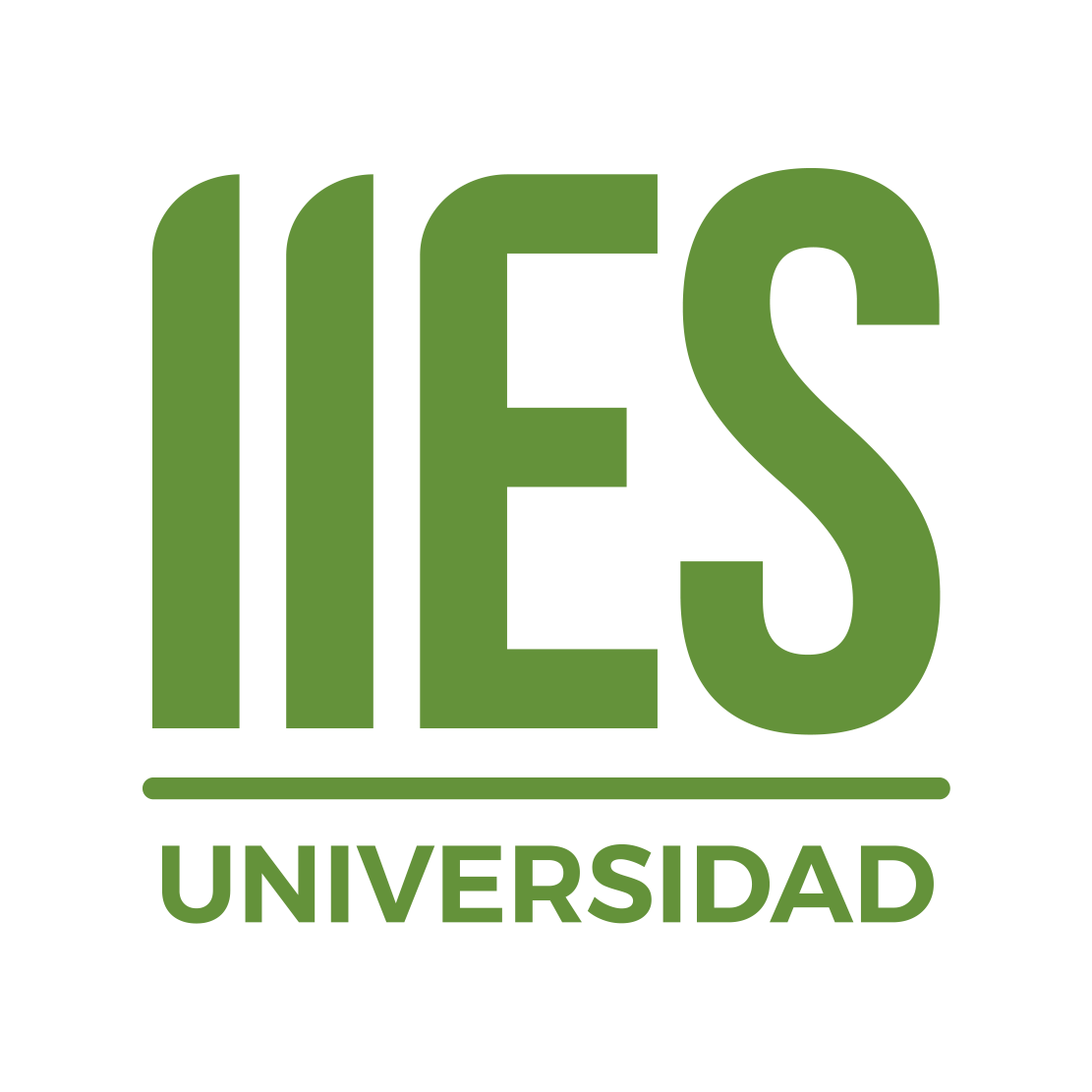 Aula Virtual Instituto Internacional de Estudios Superiores